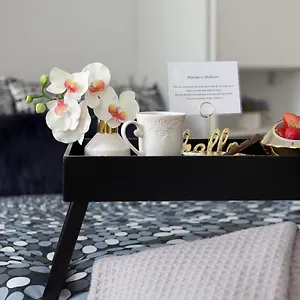 book here